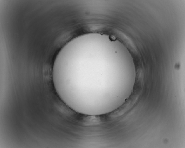 X0000102530421200808221910