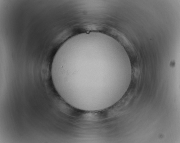 X0000102530422200808221910