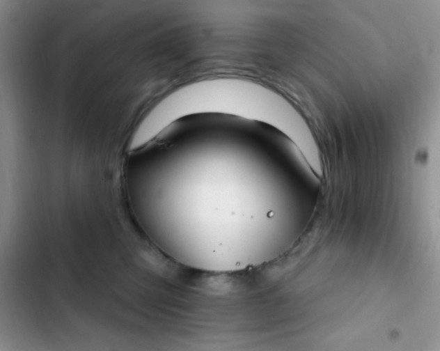 X0000102530423200808221910