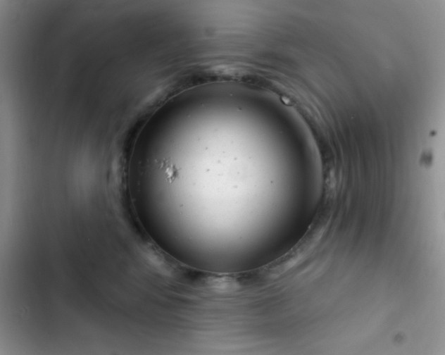 X0000102530424200808221910