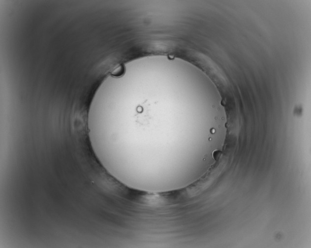 X0000102530425200808221910