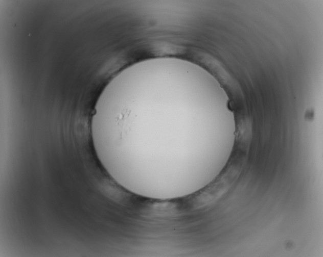 X0000102530426200808221910