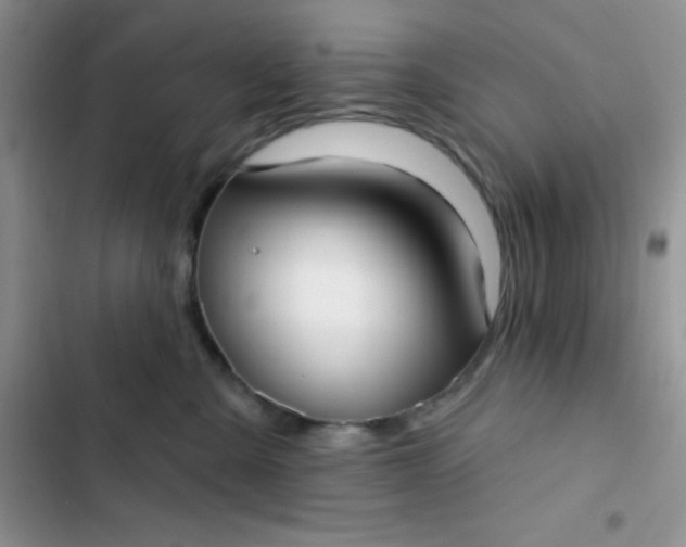 X0000102530427200808221909