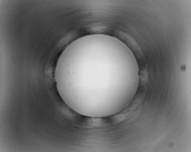 X0000102530428200808221909