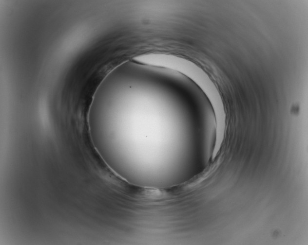 X0000102530429200808221909