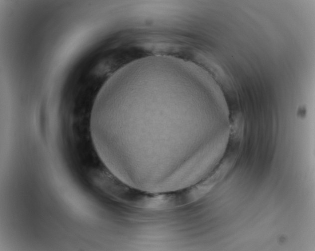 X0000102530430200808221909