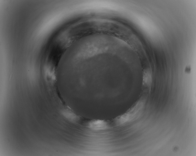 X0000102530431200808221909