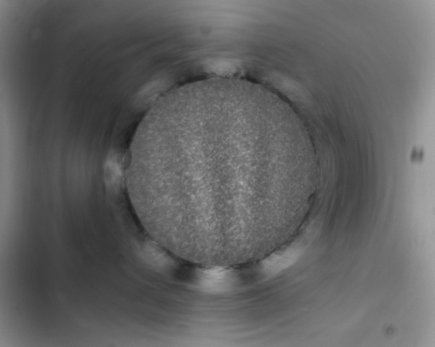 X0000102530432200808221909