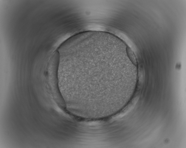 X0000102530433200808221909