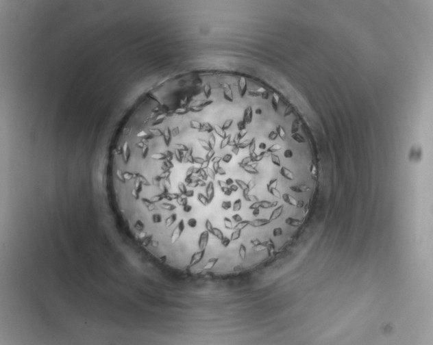 X0000102530434200808221909