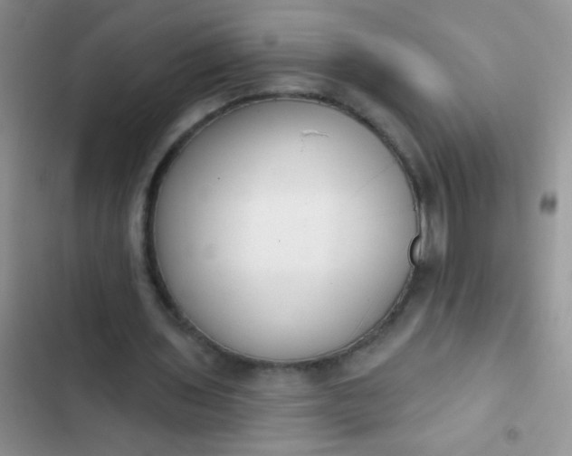 X0000102530435200808221909