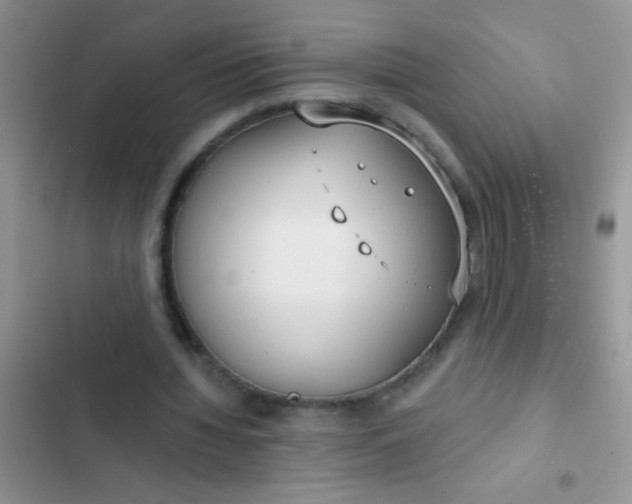 X0000102530436200808221909