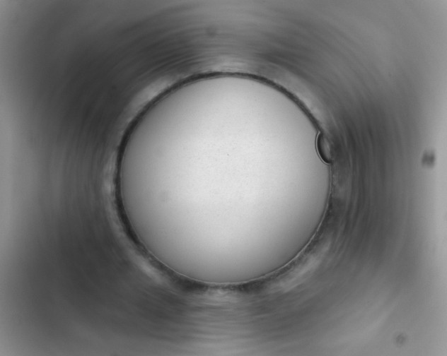 X0000102530437200808221909