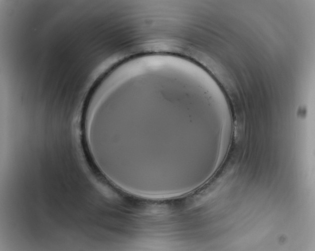 X0000102530438200808221909