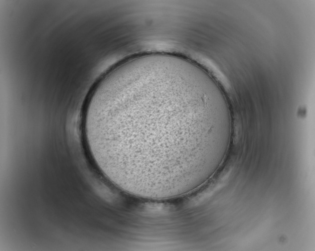 X0000102530439200808221909