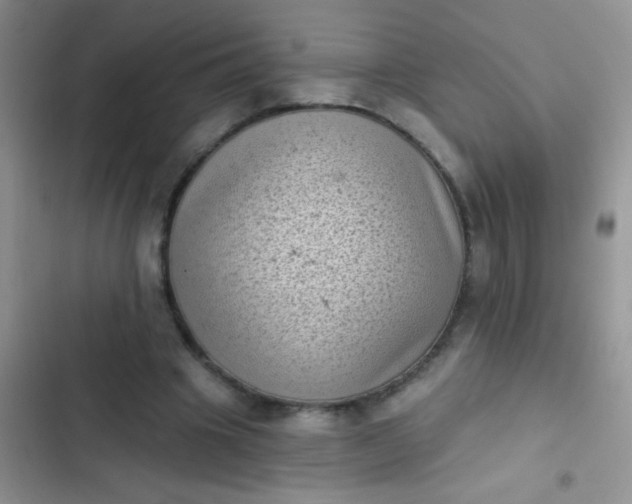 X0000102530441200808221909