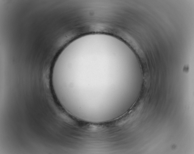 X0000102530442200808221909