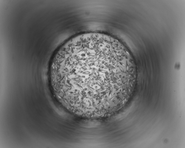 X0000102530443200808221909