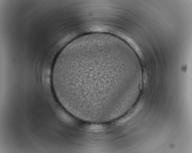 X0000102530445200808221909