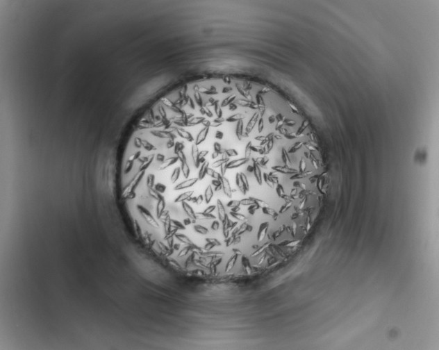 X0000102530446200808221909