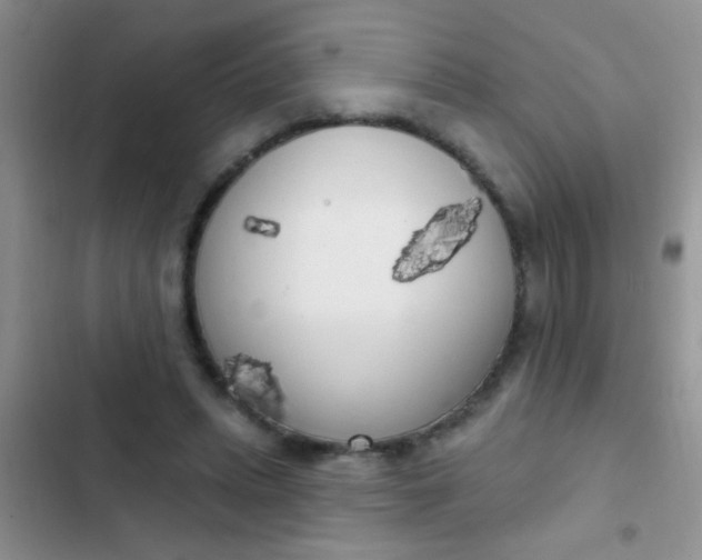 X0000102530447200808221909