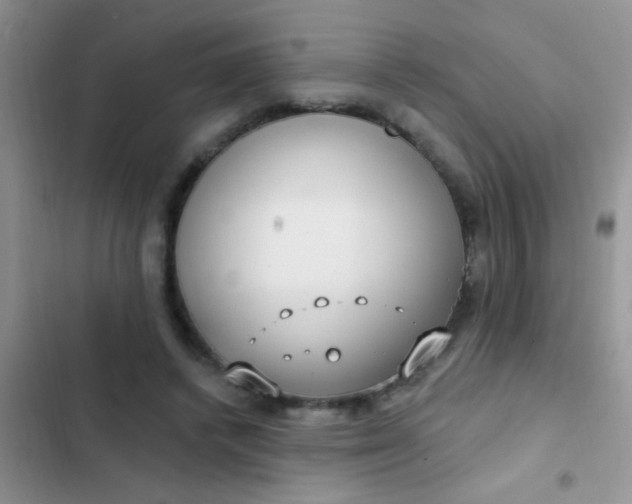 X0000102530448200808221909