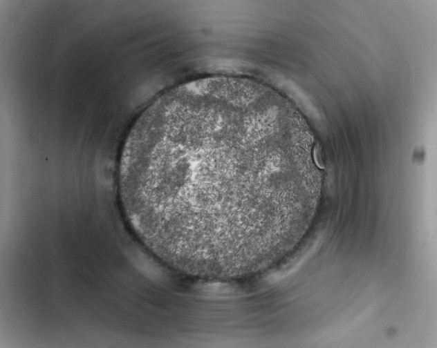 X0000102530449200808221909