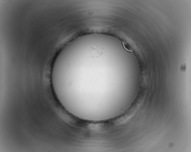 X0000102530450200808221909