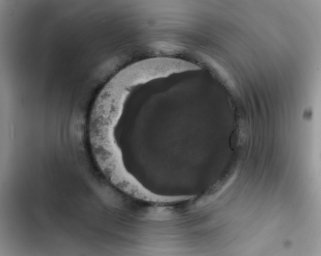 X0000102530451200808221909