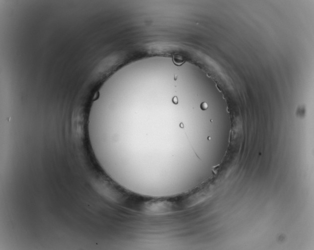 X0000102530452200808221909