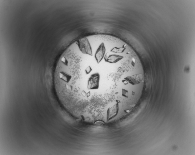 X0000102530453200808221909