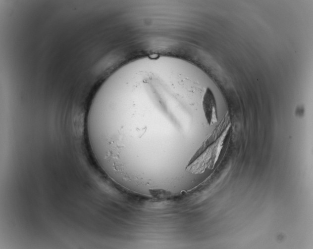 X0000102530454200808221909