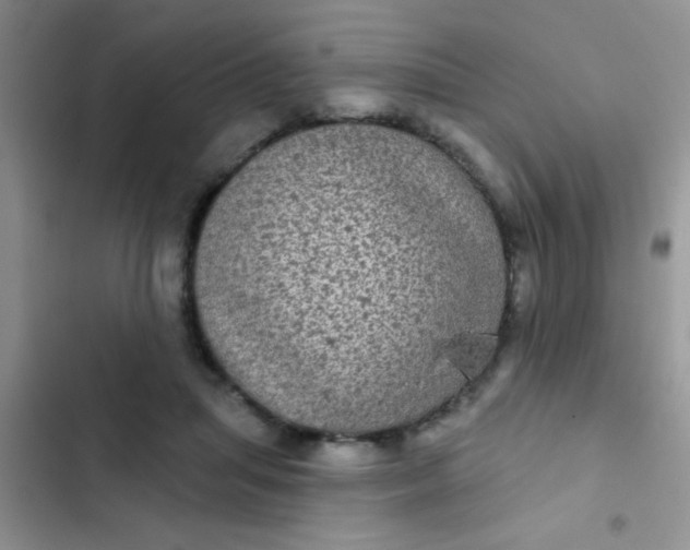 X0000102530455200808221909