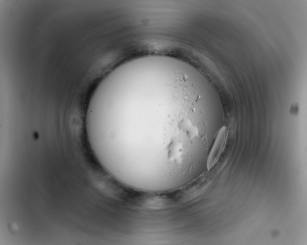 X0000102530456200808221909