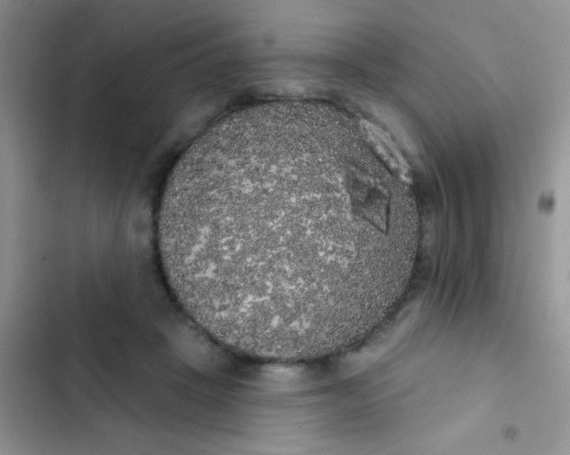 X0000102530457200808221909