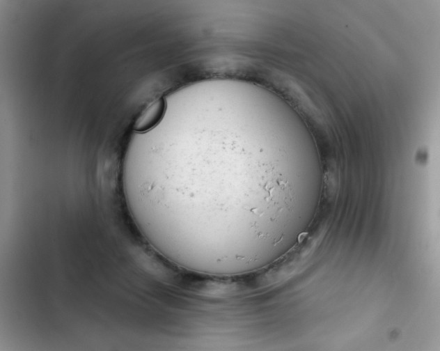 X0000102530458200808221909