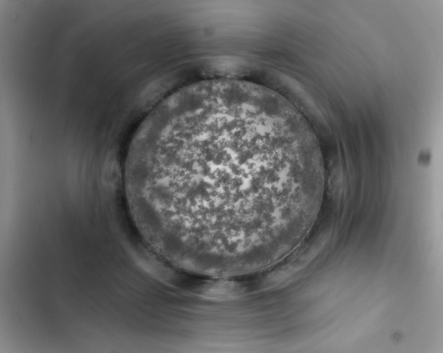 X0000102530459200808221909