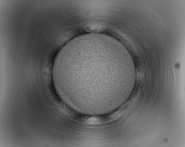 X0000102530460200808221909