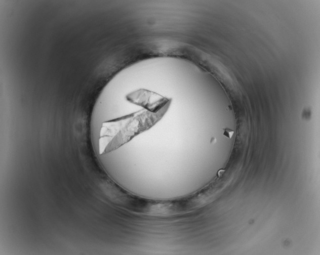 X0000102530461200808221909