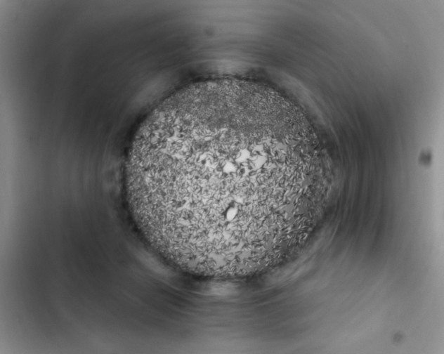 X0000102530462200808221909