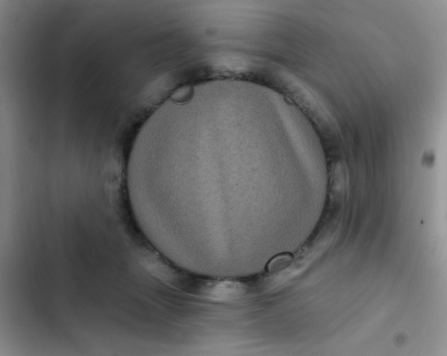 X0000102530463200808221909