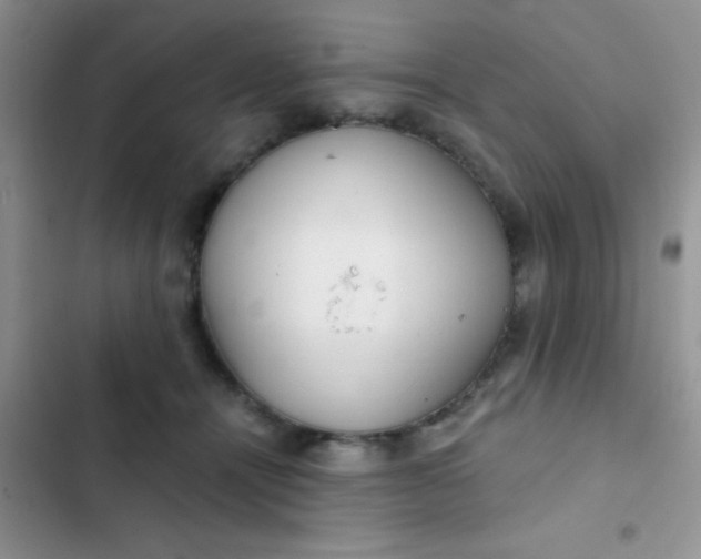 X0000102530464200808221909