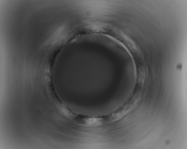 X0000102530465200808221909