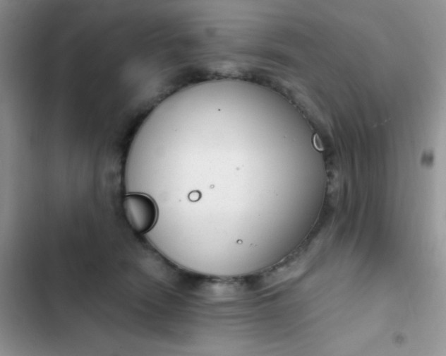 X0000102530466200808221909