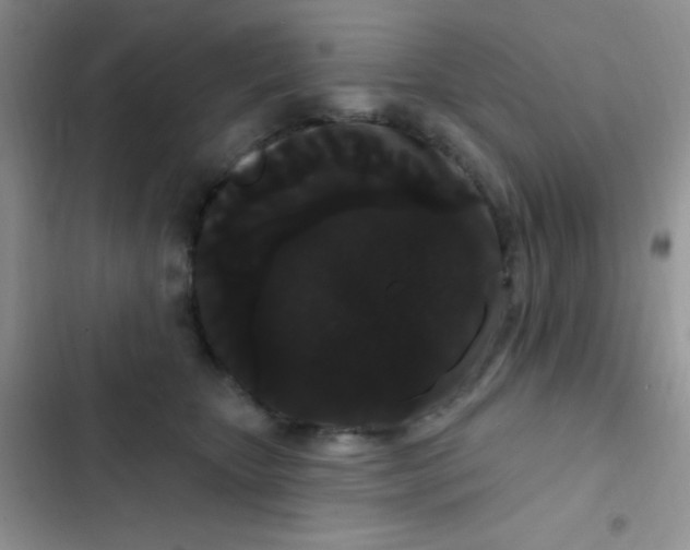 X0000102530467200808221909