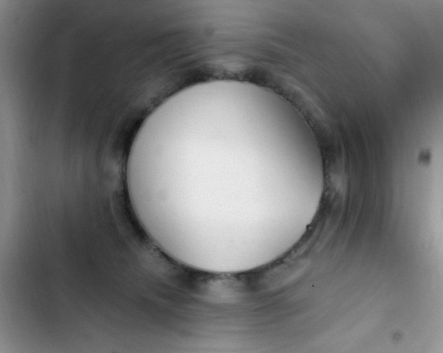 X0000102530468200808221909