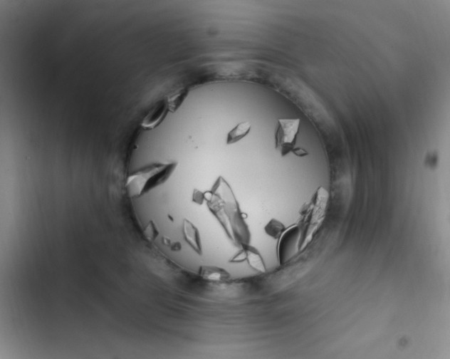 X0000102530469200808221909