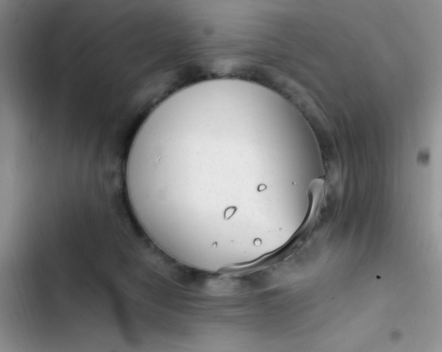 X0000102530470200808221909