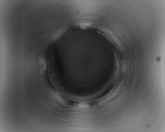 X0000102530471200808221909