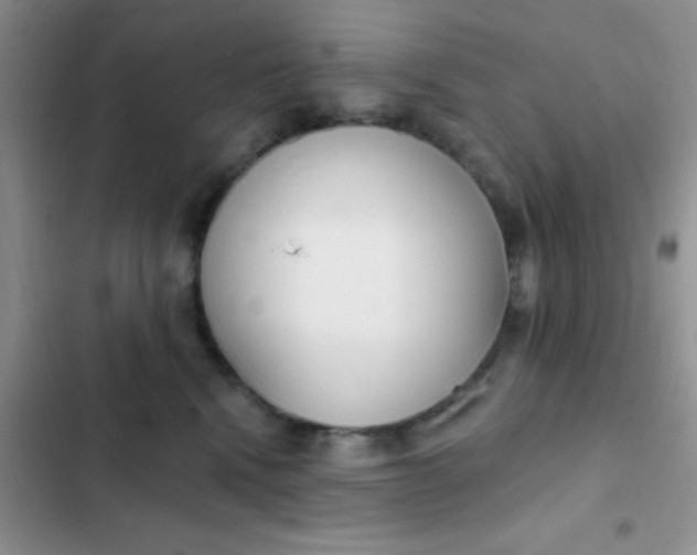 X0000102530472200808221909